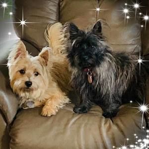 Meet your Posher, Christy